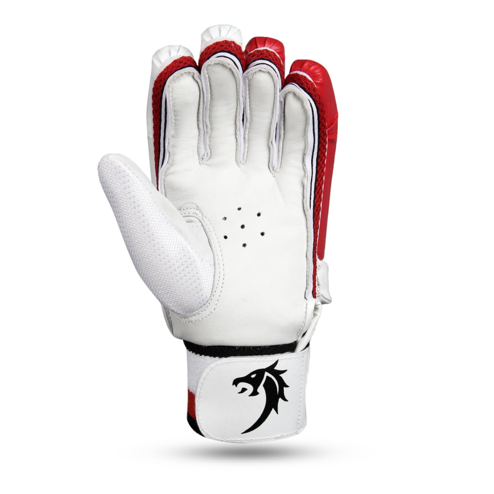 Snaga School 2.0 Cricket Batting Gloves