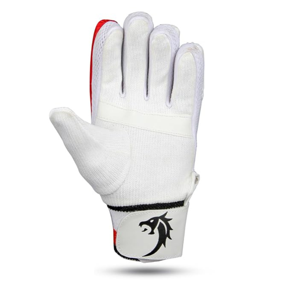Snaga New Cricket Batting Gloves – Right Hand