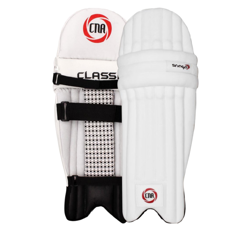 Snaga Champ Cricket Kit Backpack for Kids with Kashmir Willow Bat