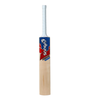 Snaga Champ Cricket Kit Backpack for Kids with Kashmir Willow Bat
