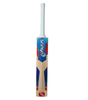 Snaga Champ Cricket Kit Backpack for Kids with Kashmir Willow Bat