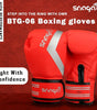 Snaga Premium Matt PU Boxing Gloves